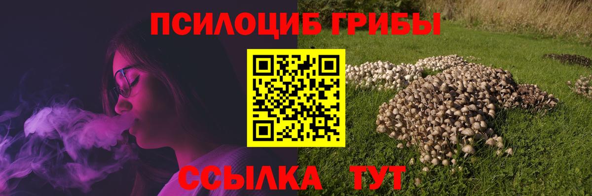 Галлюциногенные грибы мухоморы Казань